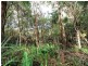 Lot 1 Esk Main Road, St Marys TAS 7215