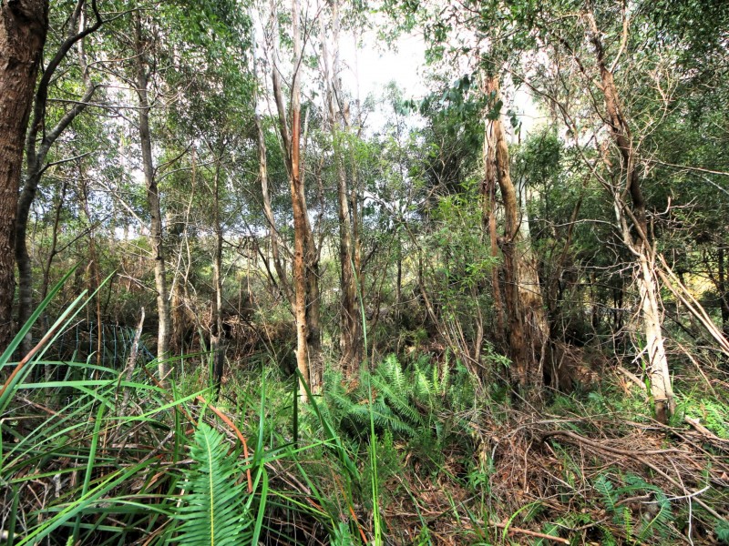 Lot 1 Esk Main Road, St Marys TAS 7215