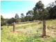 Lot 1 Esk Main Road, St Marys TAS 7215