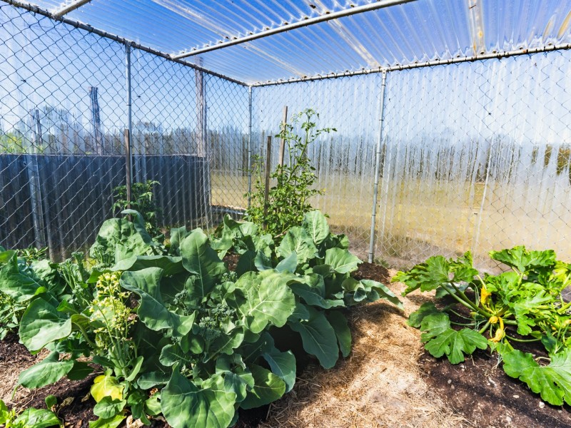 1284 North Ansons Road, Ansons Bay TAS 7216