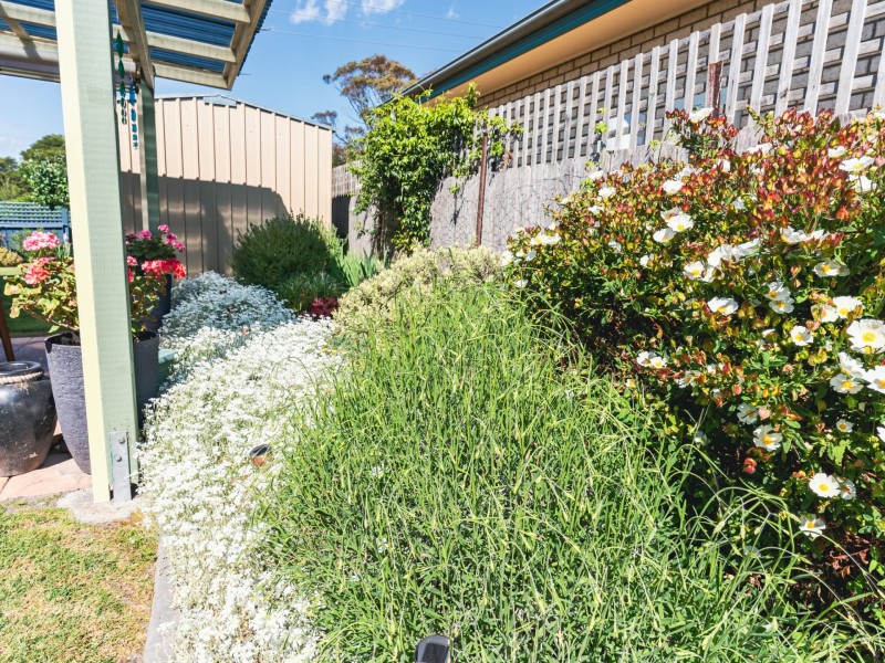 3 Driftwood Lane, St Helens TAS 7216