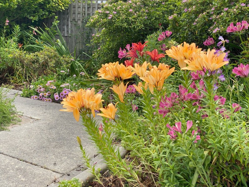 137 Scamander Avenue, Scamander TAS 7215