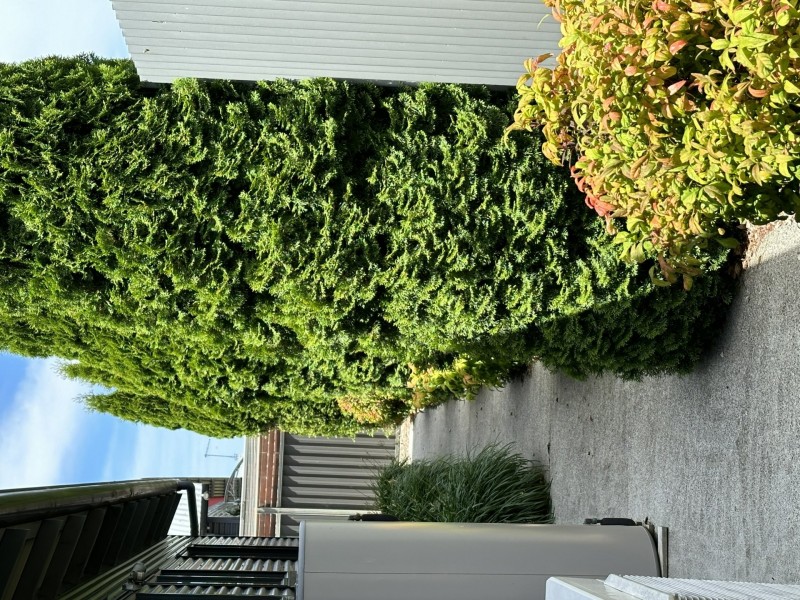 Unit 1/32 Cameron Street, St Helens TAS 7216