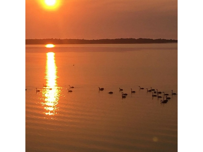 11 Casuarina Lane, Ansons Bay TAS 7216