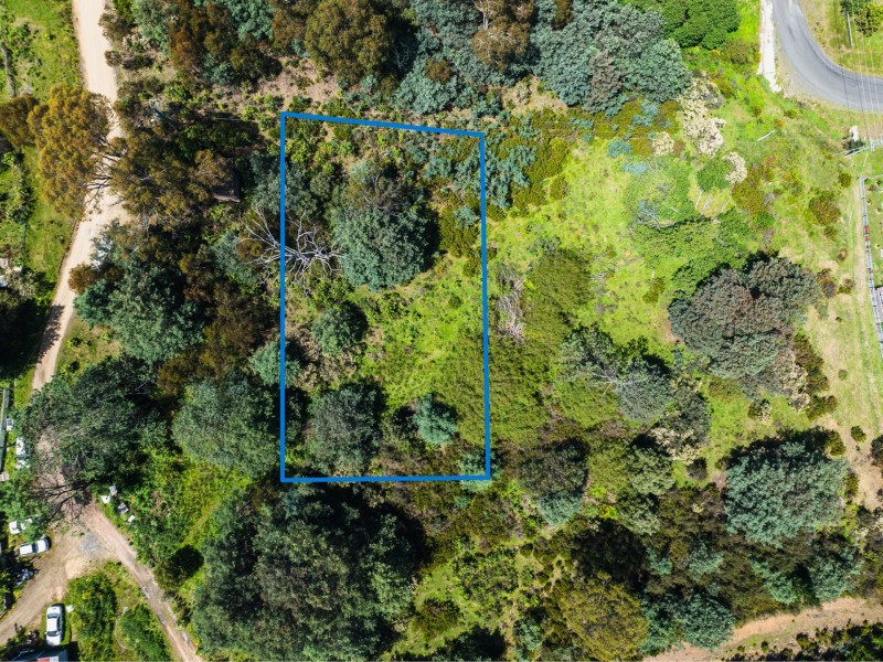 PID 639973 Alexander Street, Cornwall TAS 7215