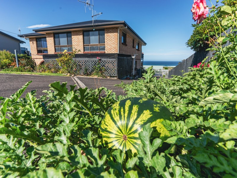 19 George Street, Scamander TAS 7215