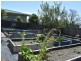 17 Telemon Street, St Helens TAS 7216