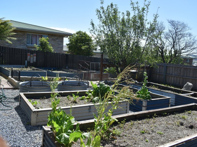 17 Telemon Street, St Helens TAS 7216