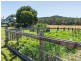 26982 Tasman Highway, Goshen TAS 7216