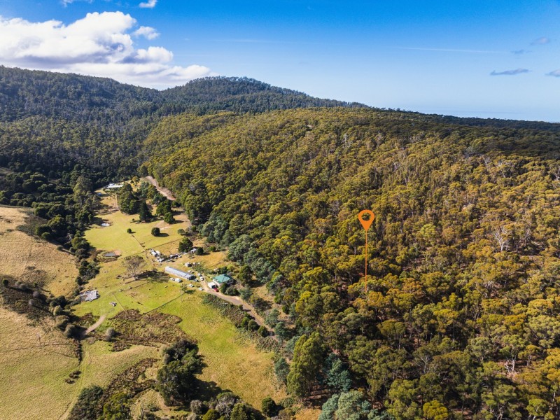 276 Gardiners Creek Road, St Marys TAS 7215