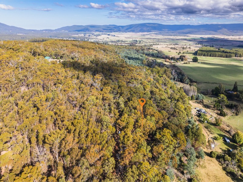 276 Gardiners Creek Road, St Marys TAS 7215