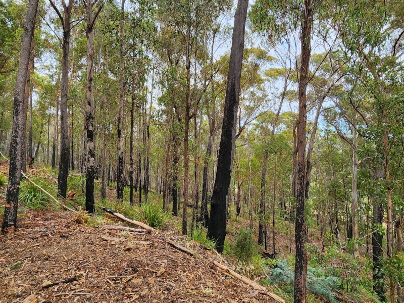276 Gardiners Creek Road, St Marys TAS 7215