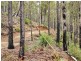 276 Gardiners Creek Road, St Marys TAS 7215