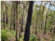 276 Gardiners Creek Road, St Marys TAS 7215