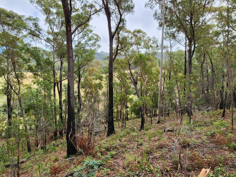 276 Gardiners Creek Road, St Marys TAS 7215