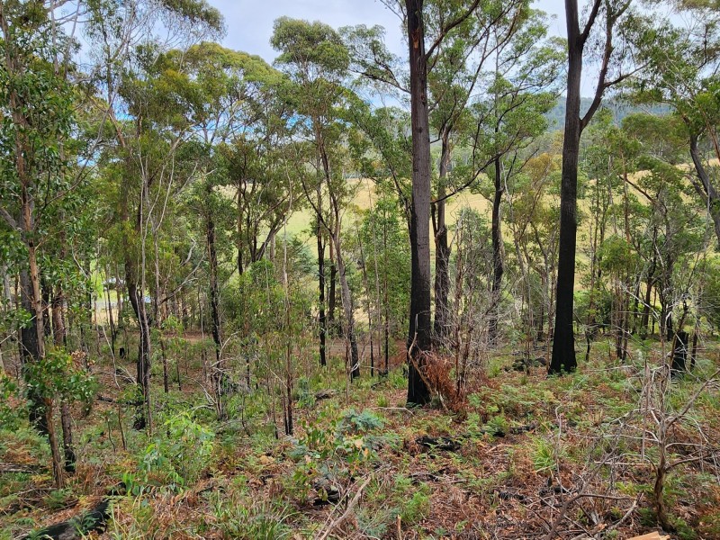 276 Gardiners Creek Road, St Marys TAS 7215