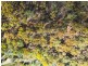 276 Gardiners Creek Road, St Marys TAS 7215