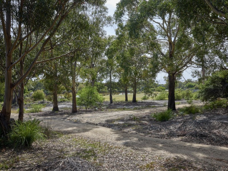 363 HARVEYS FARM ROAD, Bicheno TAS 7215