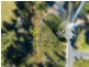 17 Bayvista Rise, St Helens TAS 7216