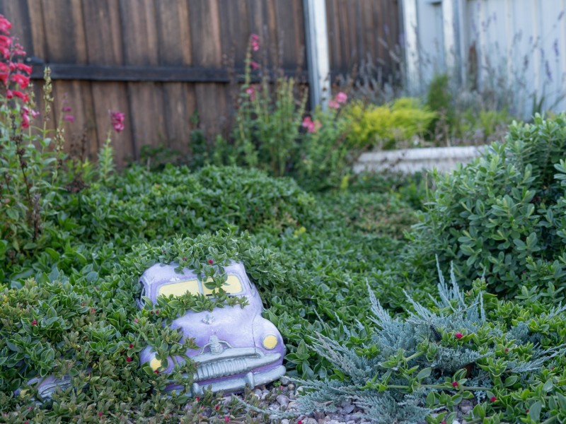 6 Talbot Street, Fingal TAS 7214