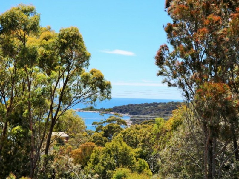29 Felmingham Street, Binalong Bay TAS 7216