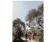 24 Winifred Drive, Scamander TAS 7215