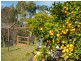 7 Lawry Heights, St Helens TAS 7216