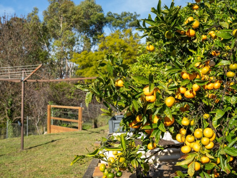 7 Lawry Heights, St Helens TAS 7216