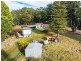 512 Irish Town Road, St Marys TAS 7215