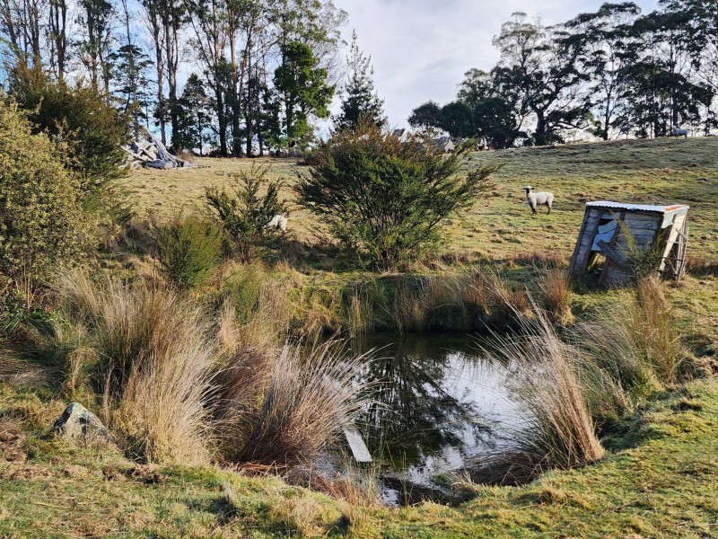 512 Irish Town Road, St Marys TAS 7215