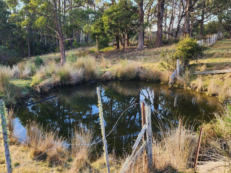 512 Irish Town Road, St Marys TAS 7215