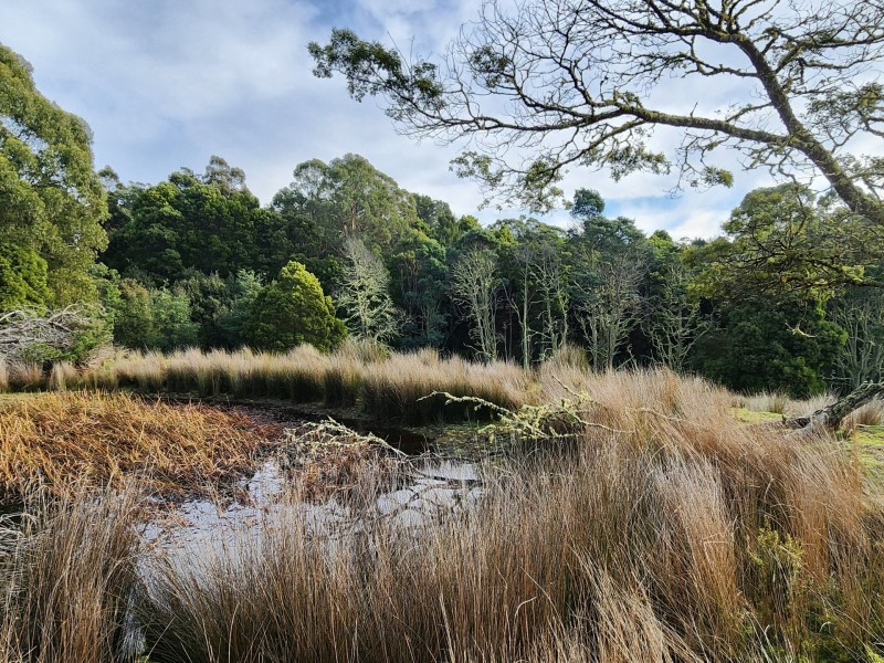 512 Irish Town Road, St Marys TAS 7215