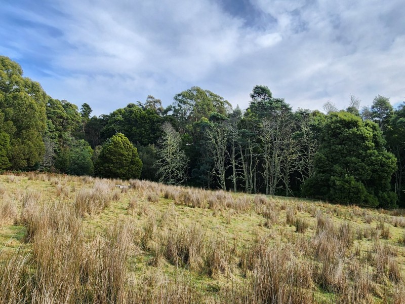 512 Irish Town Road, St Marys TAS 7215