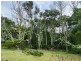 512 Irish Town Road, St Marys TAS 7215