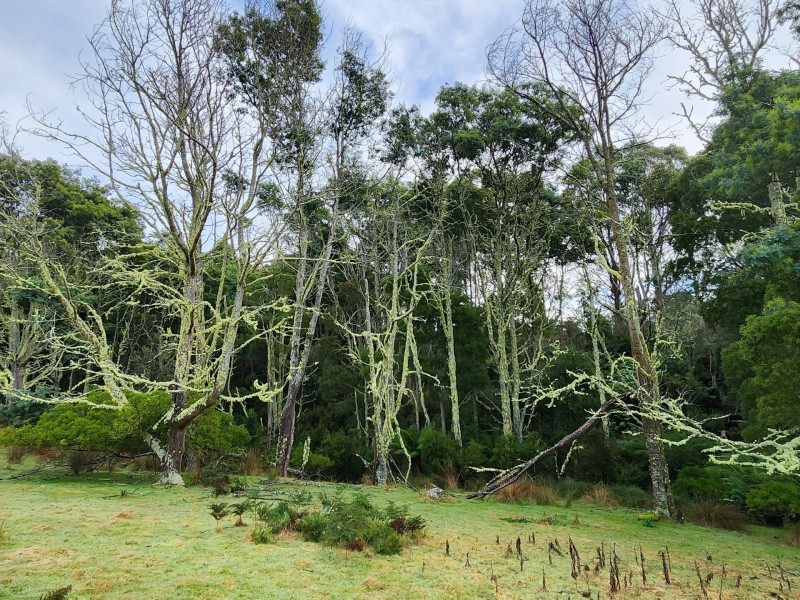 512 Irish Town Road, St Marys TAS 7215