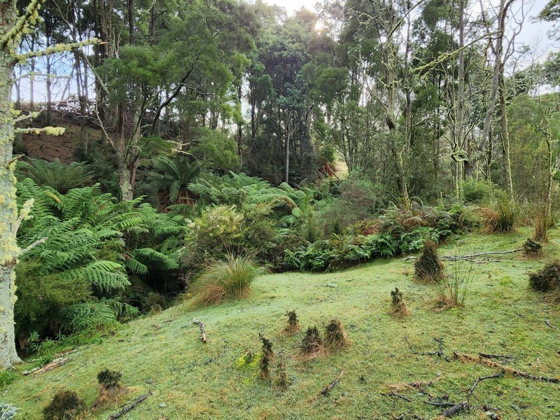 512 Irish Town Road, St Marys TAS 7215