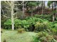512 Irish Town Road, St Marys TAS 7215