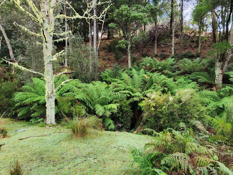 512 Irish Town Road, St Marys TAS 7215