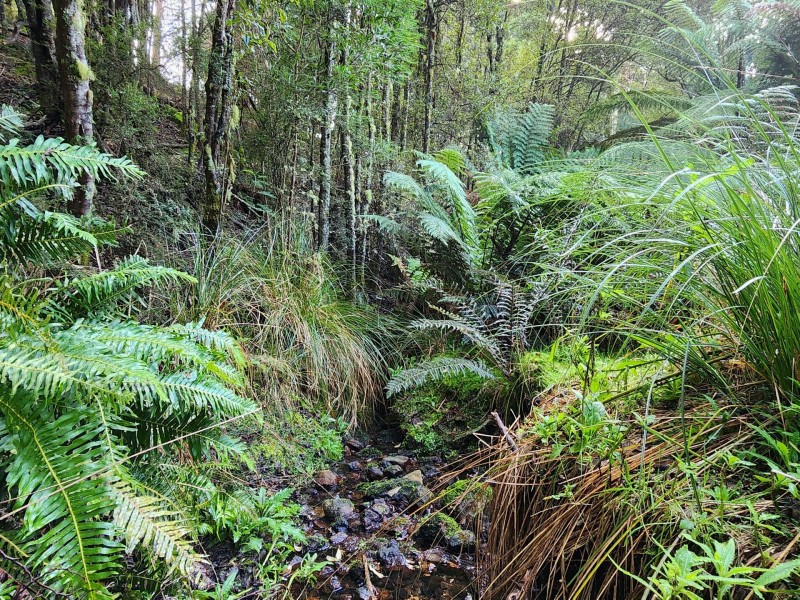 512 Irish Town Road, St Marys TAS 7215