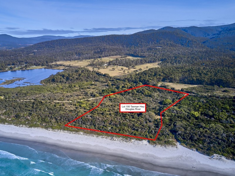 100 Tasman Highway, Douglas River TAS 7215