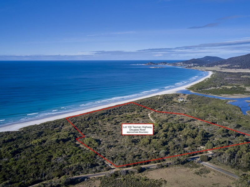100 Tasman Highway, Douglas River TAS 7215