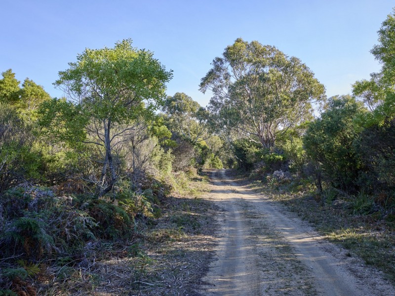 100 Tasman Highway, Douglas River TAS 7215