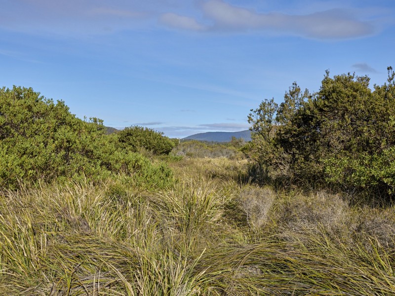 100 Tasman Highway, Douglas River TAS 7215