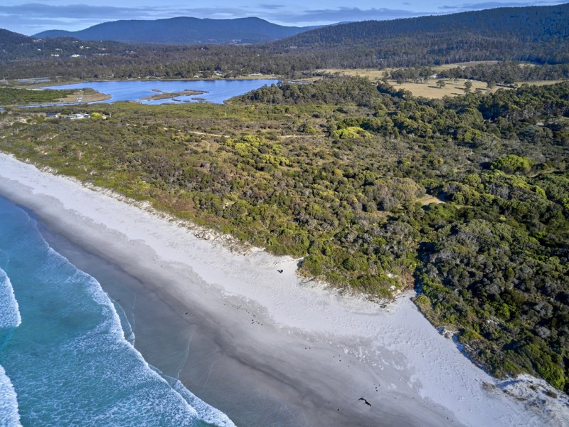 100 Tasman Highway, Douglas River TAS 7215