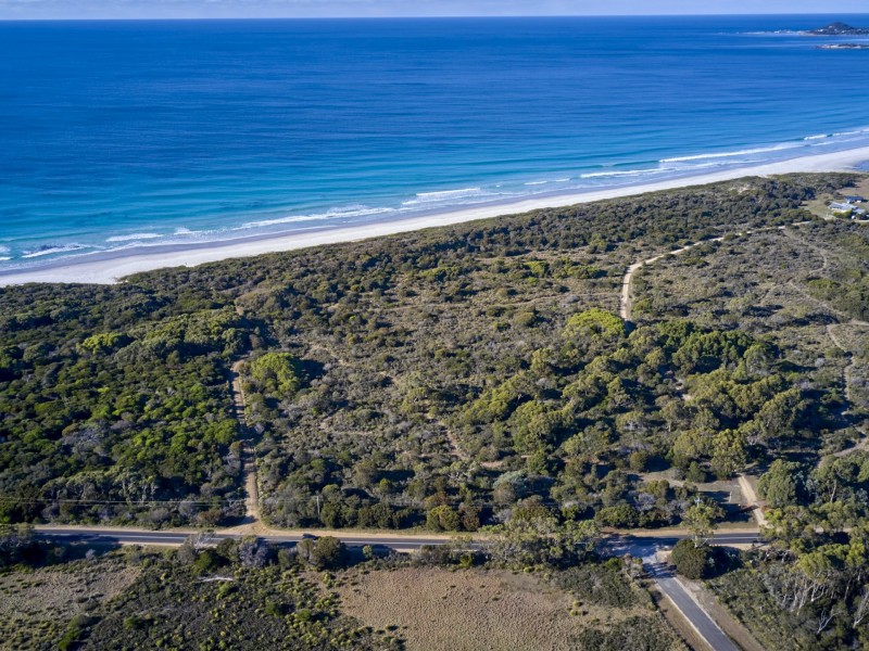 100 Tasman Highway, Douglas River TAS 7215