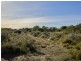 100 Tasman Highway, Douglas River TAS 7215