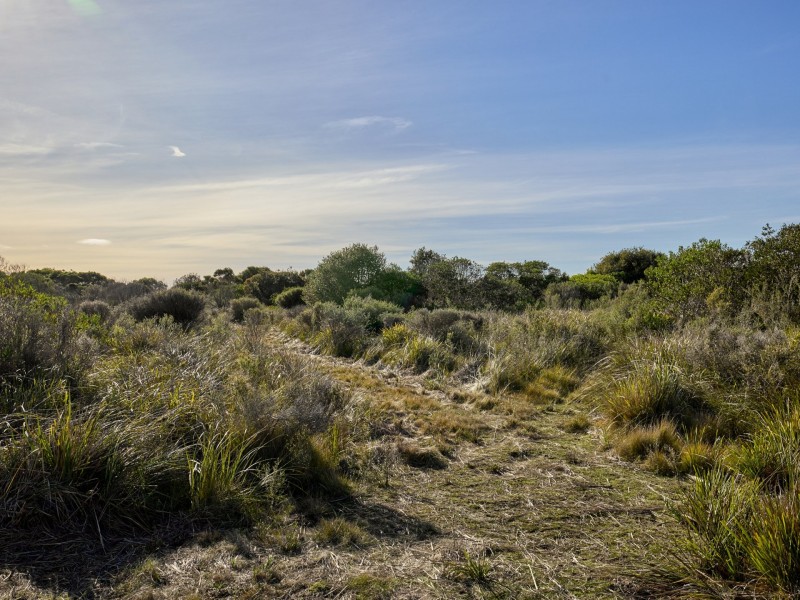 100 Tasman Highway, Douglas River TAS 7215