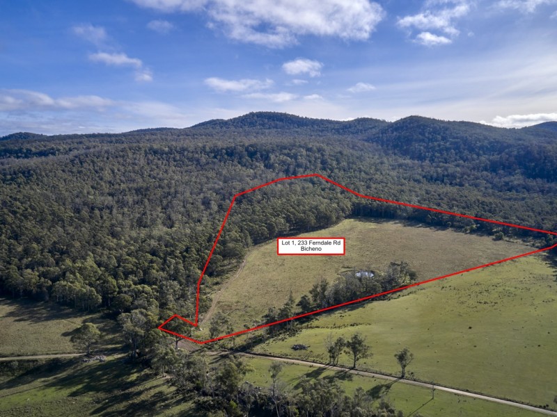 Lot 1/233 Ferndale Road, Bicheno TAS 7215