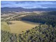 Lot 1/233 Ferndale Road, Bicheno TAS 7215