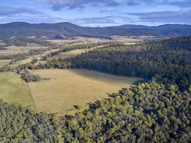 Lot 1/233 Ferndale Road, Bicheno TAS 7215